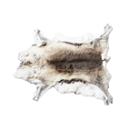 Kožešiny